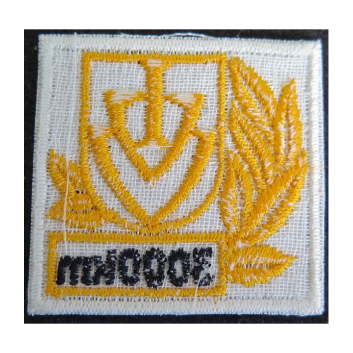 ALLEMAGNE : Insigne tissu de IVV International Volkssportverband 3000 Km