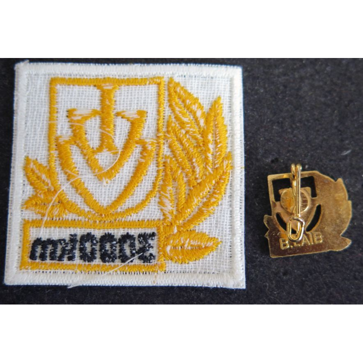 ALLEMAGNE : Insigne de boutonnière et tissu de IVV International Volkssportverband 3000 Km