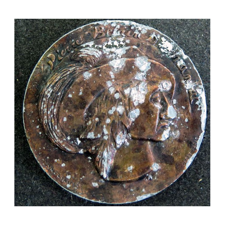 FRANCE : médaille de Pierre Blain d'Esnambuc 5 cm de diamètre