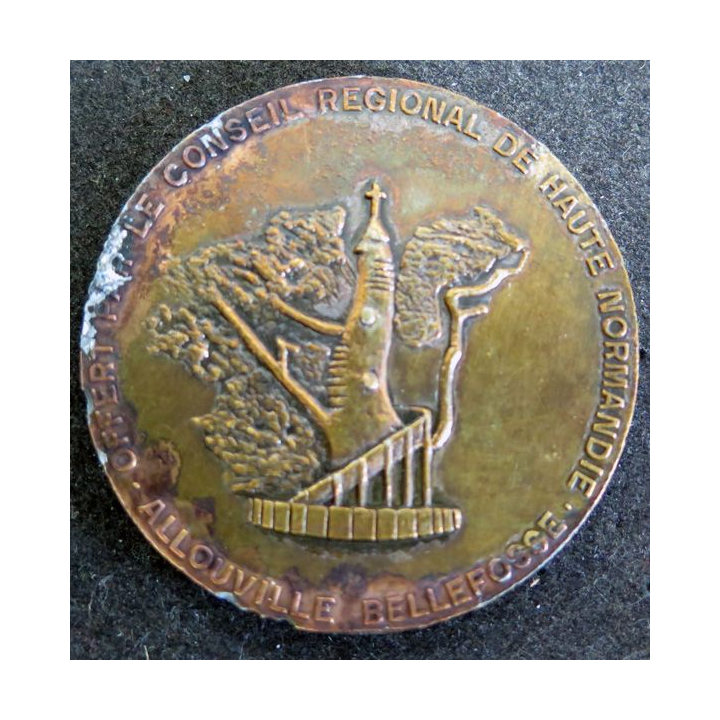 FRANCE : médaille de Pierre Blain d'Esnambuc 5 cm de diamètre