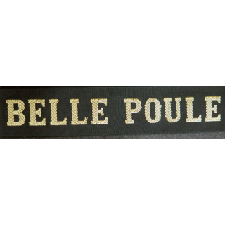 MARINE : bande de bachi de marin "BELLE POULE" longueur 65 cm fils dorés