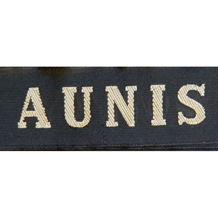 MARINE : bande de bachi de marin "AUNIS" longueur 65 cm fils dorés