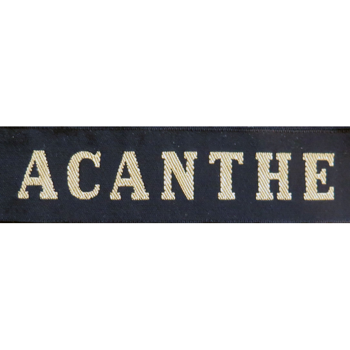 MARINE : bande de bachi de marin "ACANTHE" longueur 65 cm fils dorés