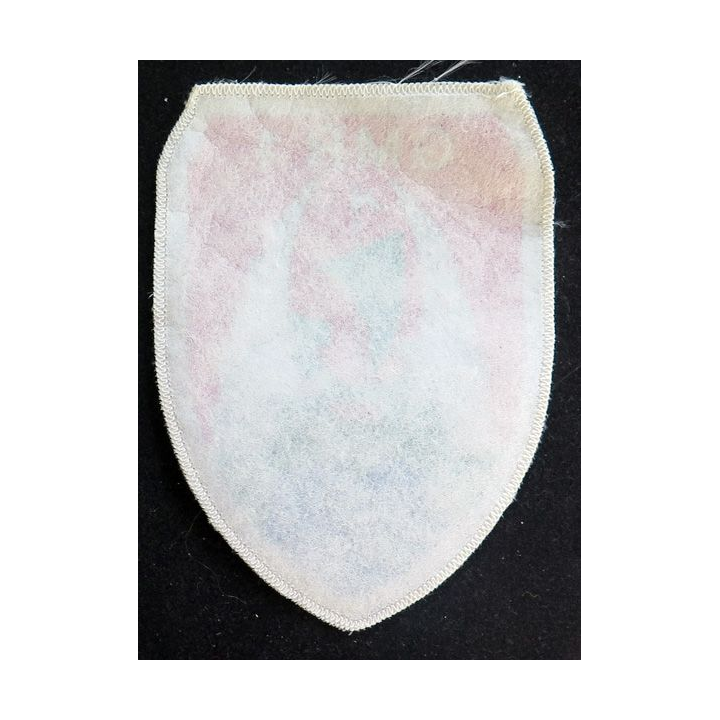 526° RT GMR1 : insigne tissu du GMR 1 du 526° régiment du train 13 x 9,5 cm