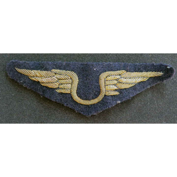 Insigne tissu de l'armée de l'air personnel non navigant en cannetille or et argent