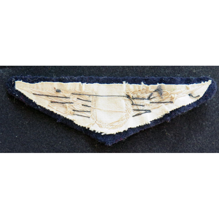 Insigne tissu de l'armée de l'air personnel non navigant en cannetille or et argent