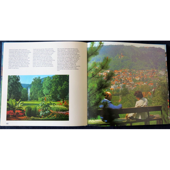 Schwarzwald der nördliche Teil de Dr Karl Weidenbach aux Editions Heinrich Müller Verlag