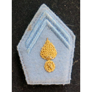 soutache (insigne de col) d'officier école en cannetille