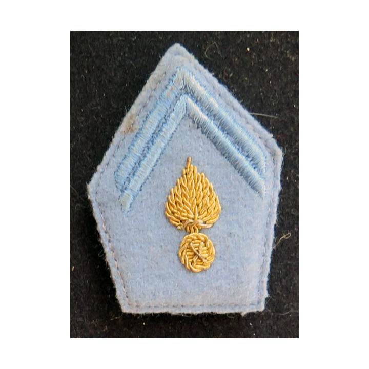 soutache (insigne de col) d'officier école en cannetille