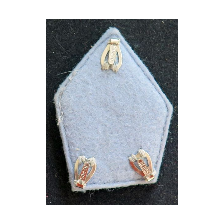 soutache (insigne de col) d'officier école en cannetille