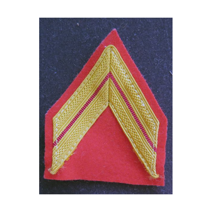 galon de  brigadier de régiment de spahis actuel avec crochets