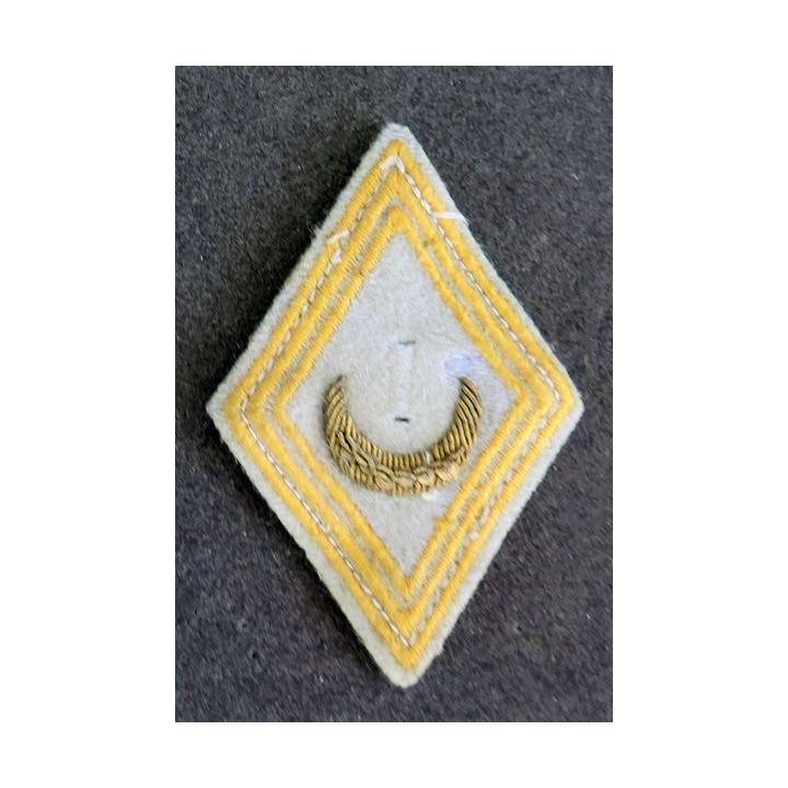 LOSANGE DE BRAS MODÈLE 45 :  1° régiment de tirailleurs algériens en cannetille (manque le 1 métallique)