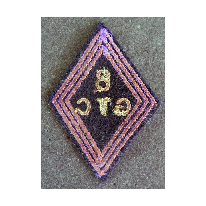 LOSANGE DE BRAS MODÈLE 45 :  8° G.T.C (inconnu avec 3 moustaches violettes comme les BILA / CILA ?)