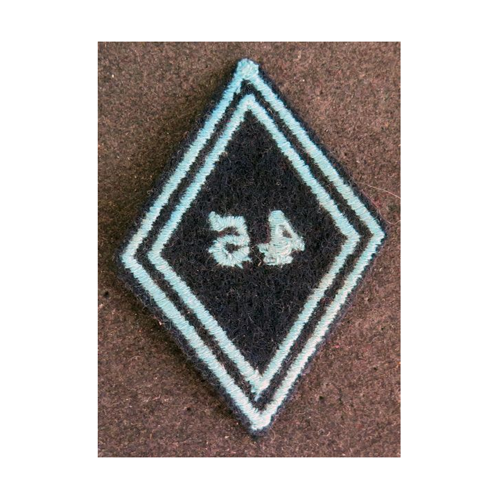 LOSANGE DE BRAS MODÈLE 45 : insigne inconnu ??? 45° chasseurs ???