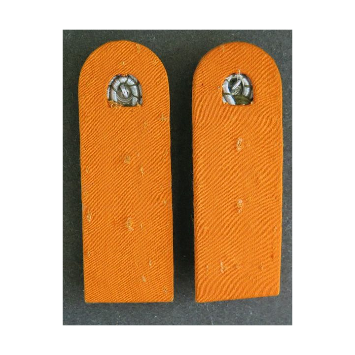 ALLEMAGNE : paire d'épaulette de maître de Gendarmerie (WWII ?)