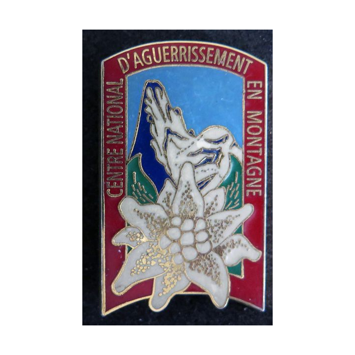 CNAM : Centre national d'aguerrissement en montagne Delsart G. 4764