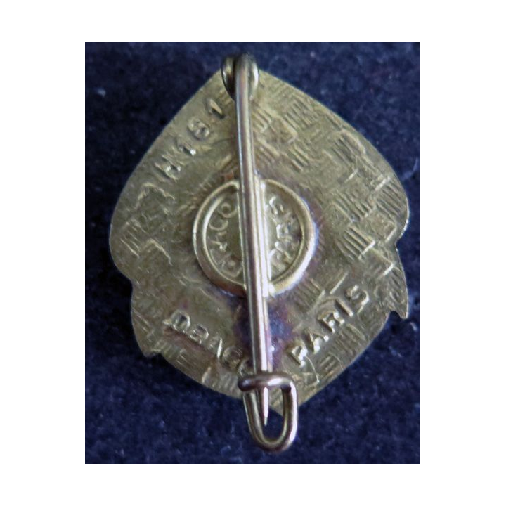 RMT : insigne métallique du régiment de marche du Tchad de fabrication Drago H. 181 relief
