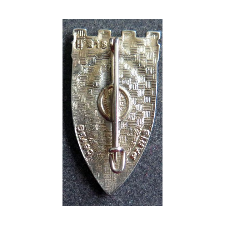 19° RG : insigne du 19° régiment du génie de fabrication Drago H. 215
