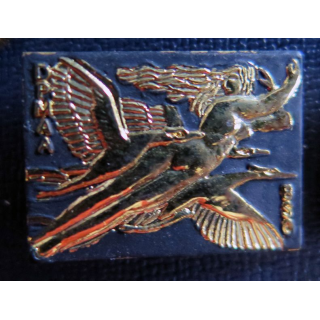 Pin's de l'armée de l'air concours des officiers 1930 femme dénudée et cigognes