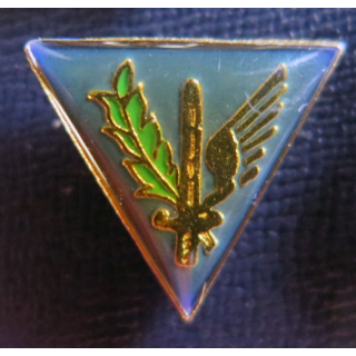 EESGAA 317 : Pin's de l'école d'enseignement du service général de l'armée de l'air 317