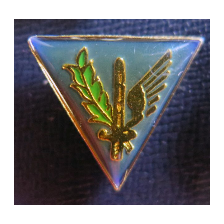 EESGAA 317 : Pin's de l'école d'enseignement du service général de l'armée de l'air 317