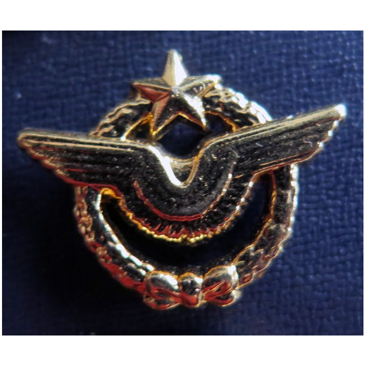 BREVET AIR : pin's de brevet de pilote de l'armée de l'Air  25 x 20 mm doré à l'or fin