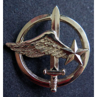 COMMANDO AIR : Insigne de béret des commandos de l'air doré Drago Noisiel