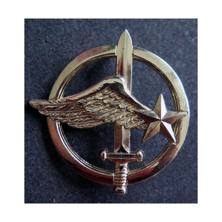 COMMANDO AIR : Insigne de béret des commandos de l'air doré Drago Noisiel