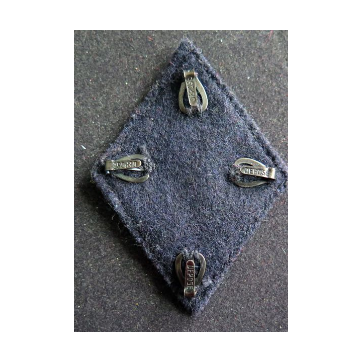 LOSANGE DE BRAS MODÈLE 45 : 19° Régiment de chasseurs alpins cadre en fil argent et crochets