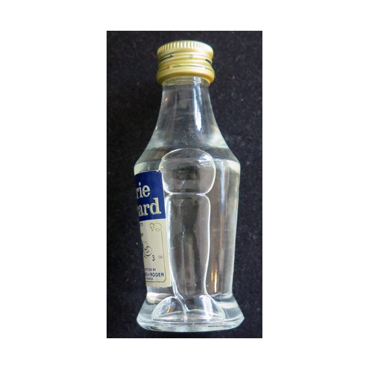 Mignonette de Anisette de Marie Brizard 3 cl 25°