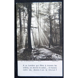 IMAGES PIEUSES : A sa lumière qui filtre à travers lkes arbres...