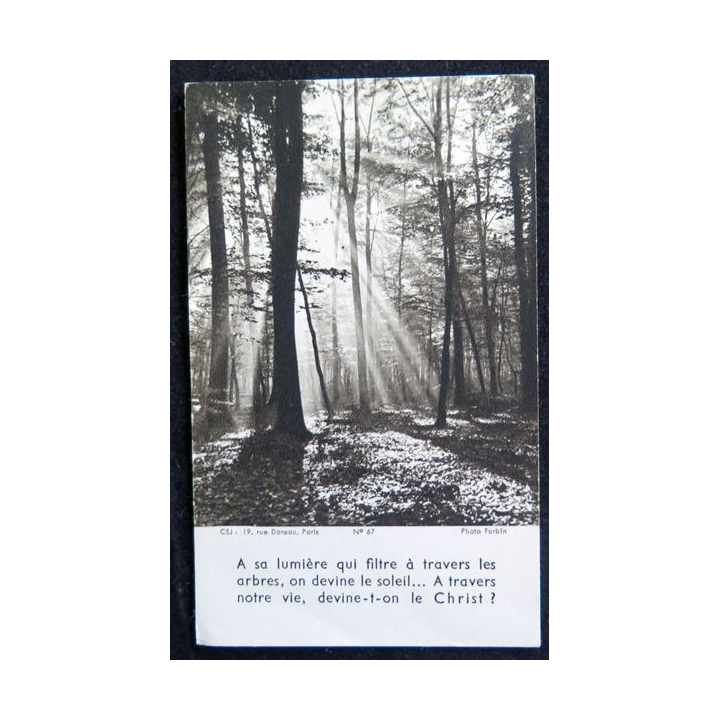 IMAGES PIEUSES : A sa lumière qui filtre à travers lkes arbres...