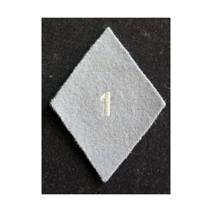 LOSANGE DE BRAS MODÈLE 45 : 1° GLCAT S/OFFICIERS (1 DROIT) GRIS 