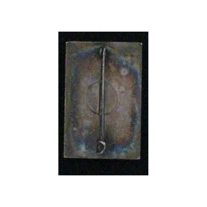 44°BT : 44°BATAILLON TRANSMISSIONS (DRAGO BÉRANGER) ARGENTÉ