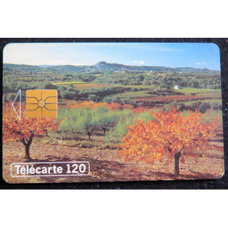Carte téléphonique télécarte 120 Au fil des saisons