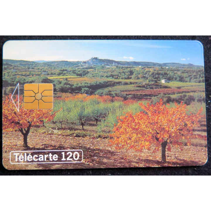 Carte téléphonique télécarte 120 Au fil des saisons