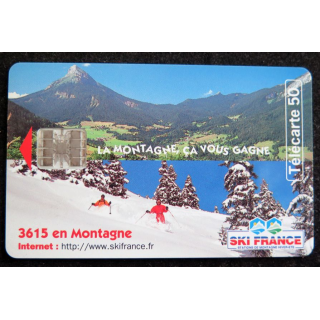 Carte téléphonique télécarte 50 Ski France