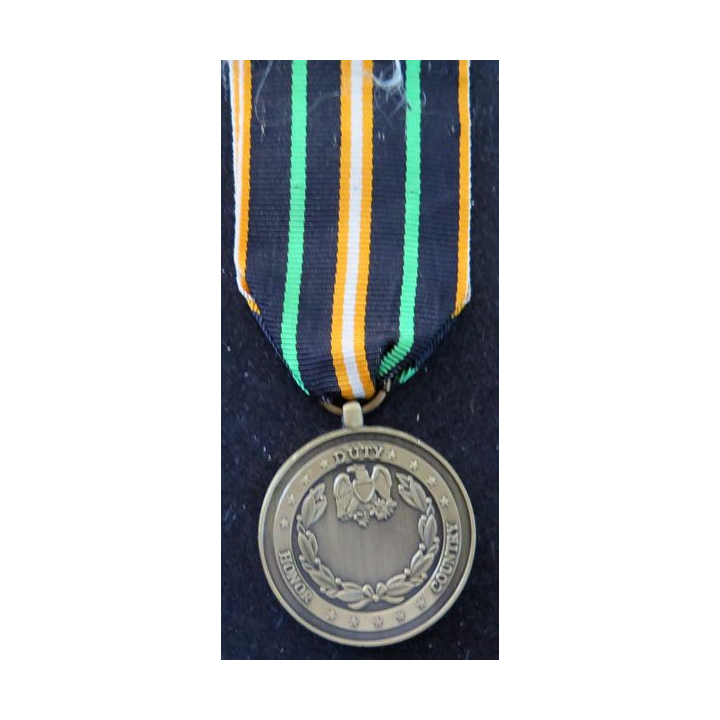 USA : médaille commémorative de l'Arme Forces expert marksman