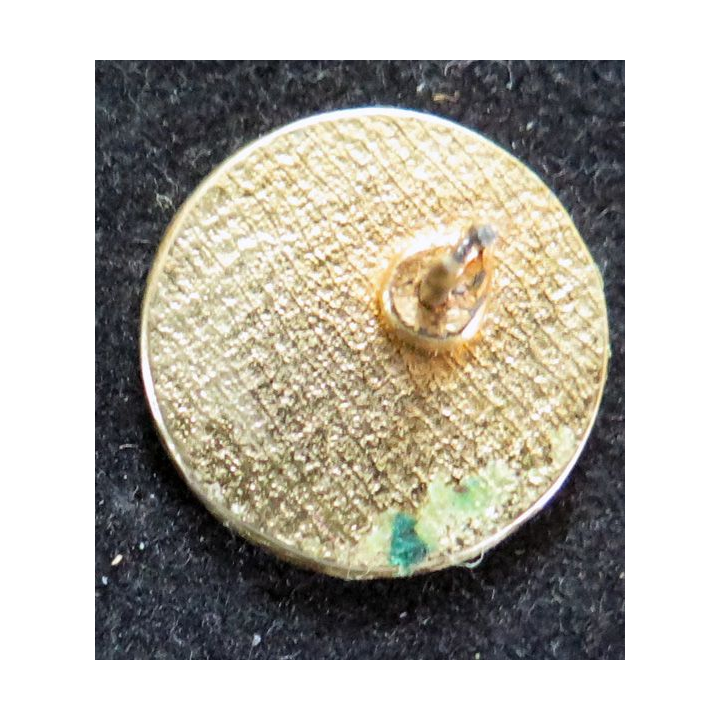 Pin's de la ville de Saint Pierre