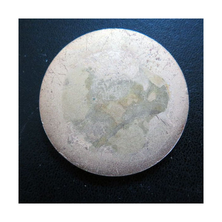 Médaille dorée du brevet sportif militaire diamètre 5 cm