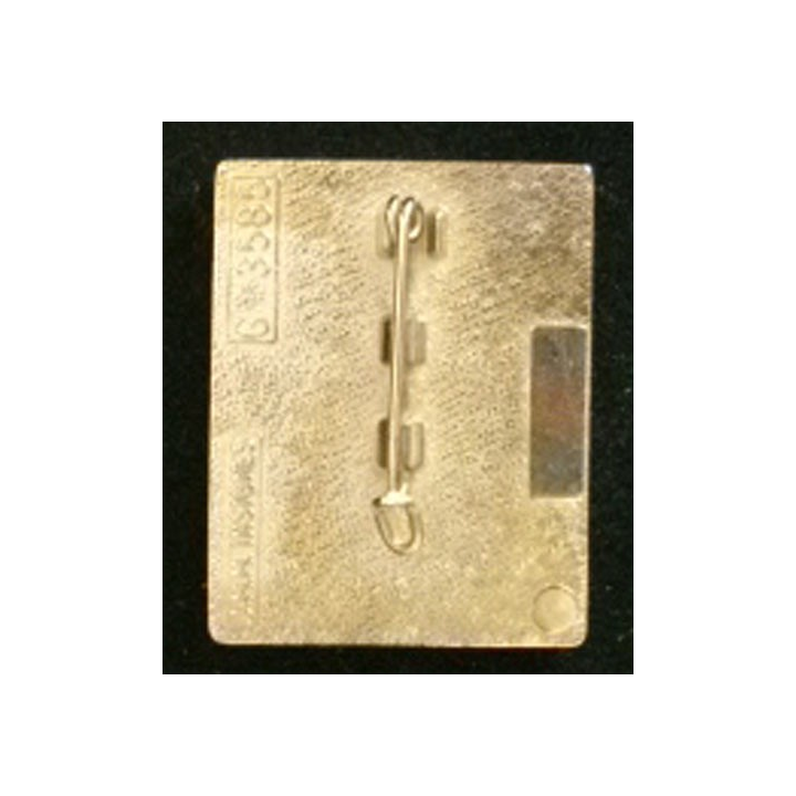 EPIGN : RECTANGLE BLEU / NOIR GRENADE DORÉE (FOND ARGENTÉ)