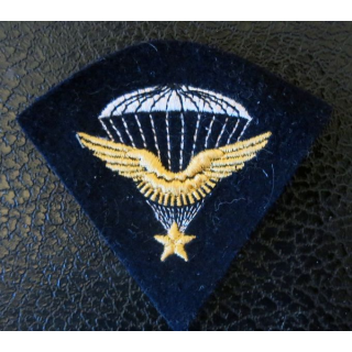 BREVET PARA INFANTERIE AIR crée le 26.08.38 remplace par Brevet Métal le 01.06.46
