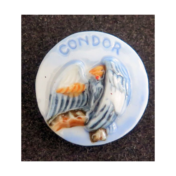Fève Condor