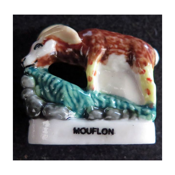 Fève Mouflon