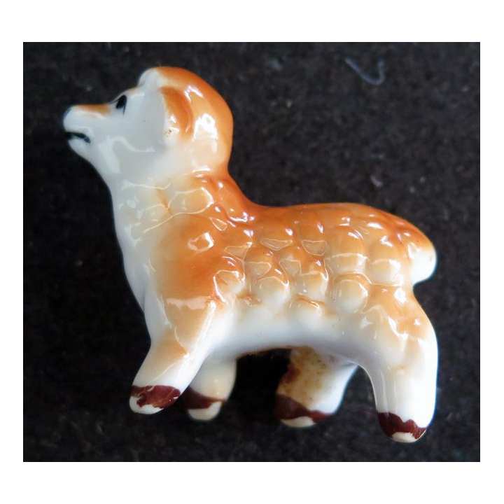 Fève Mouton