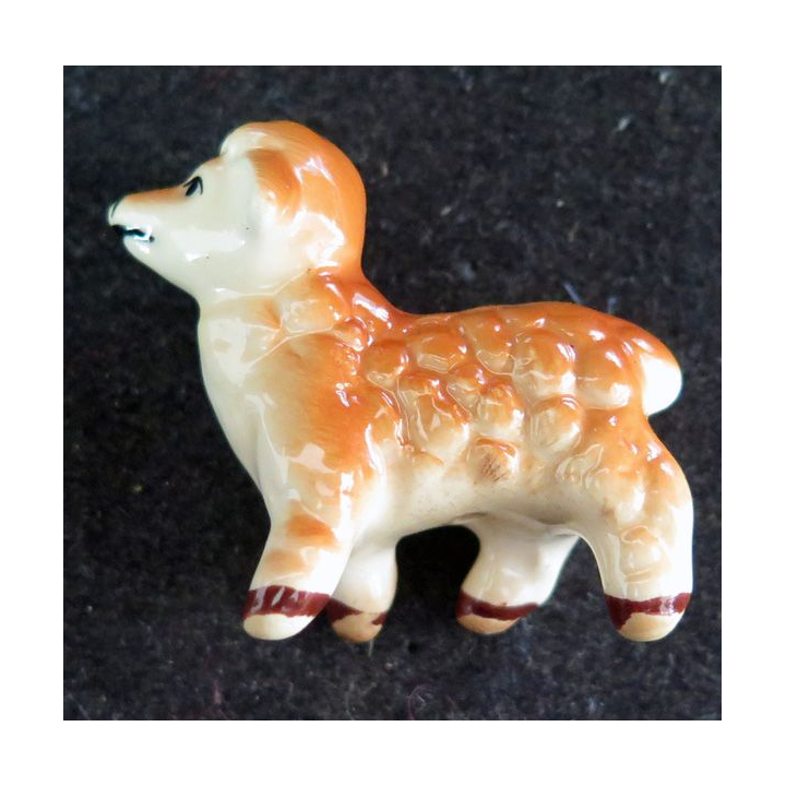 Fève Mouton
