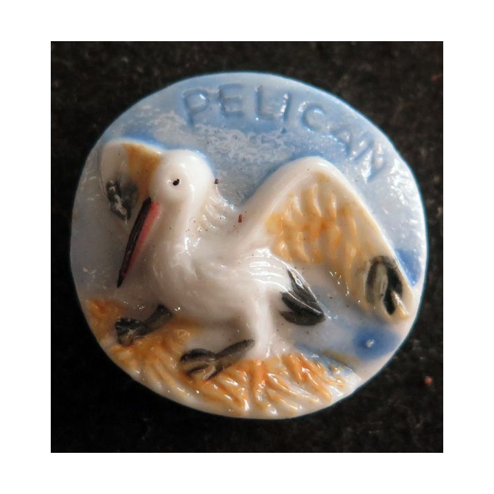 Fève Pélican 