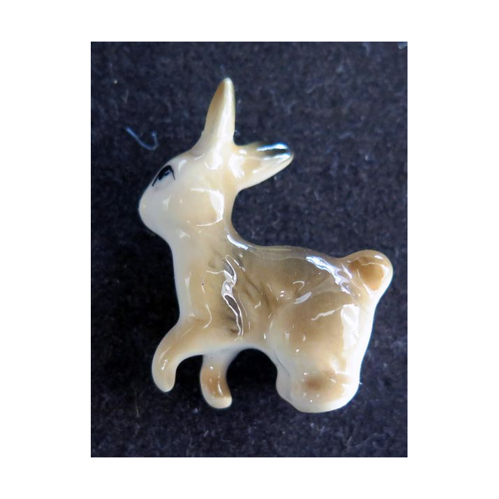 Fève lapin