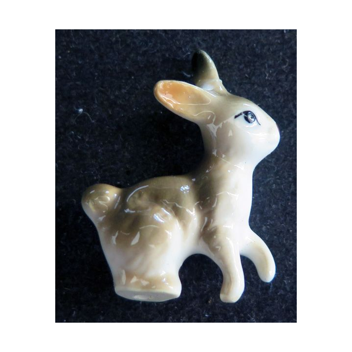 Fève lapin