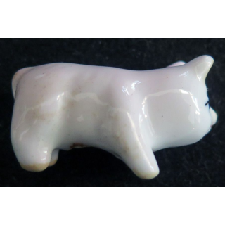 Fève cochon